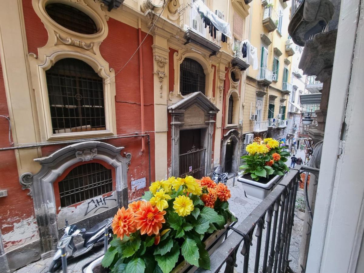 Majorana Napoli